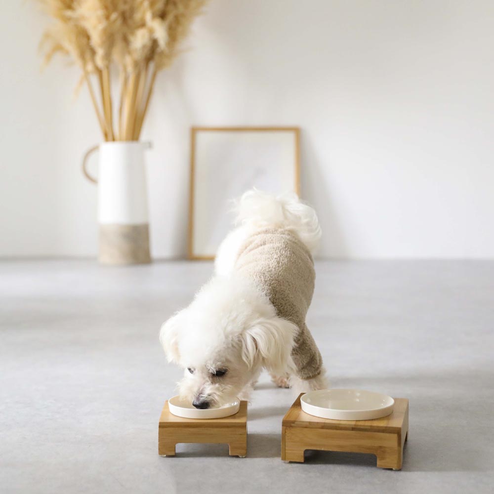 Food Bowls
