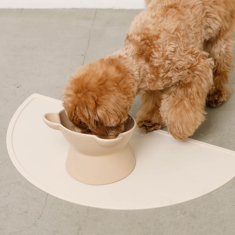 Dog Food
