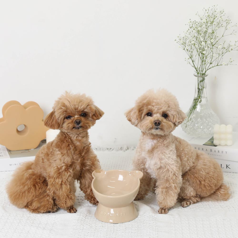 Bear Food Bowl