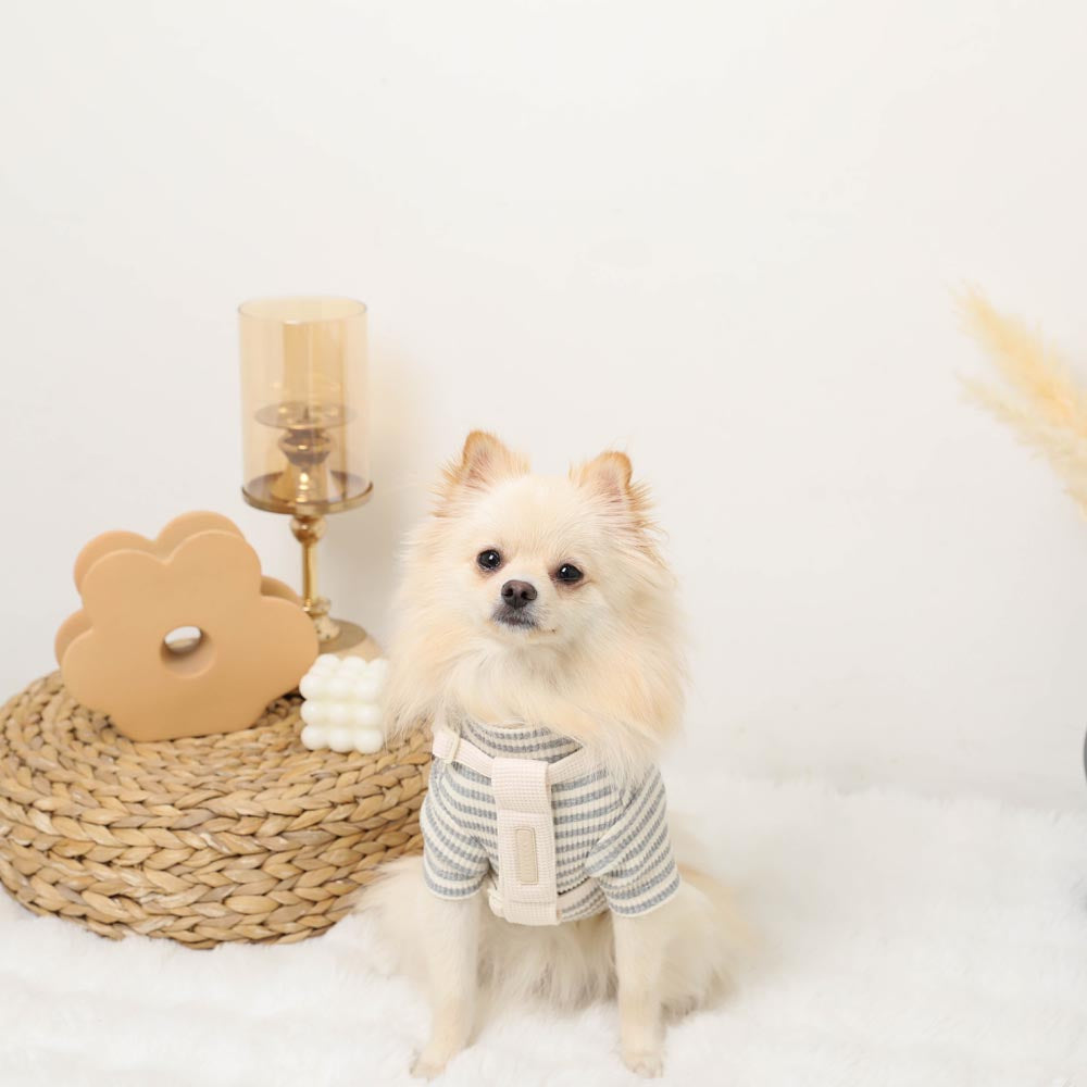 PU Leather x Waffle Harness