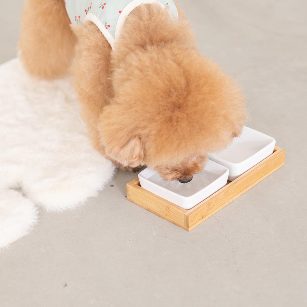 Square Double Food Bowl