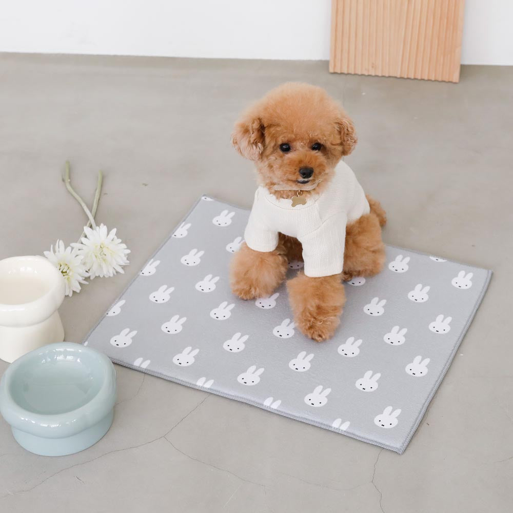 Low Stand Food Bowl