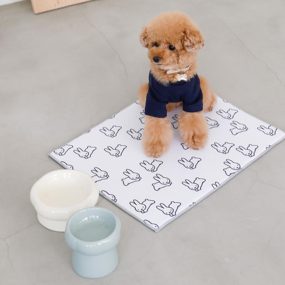Low Stand Food Bowl