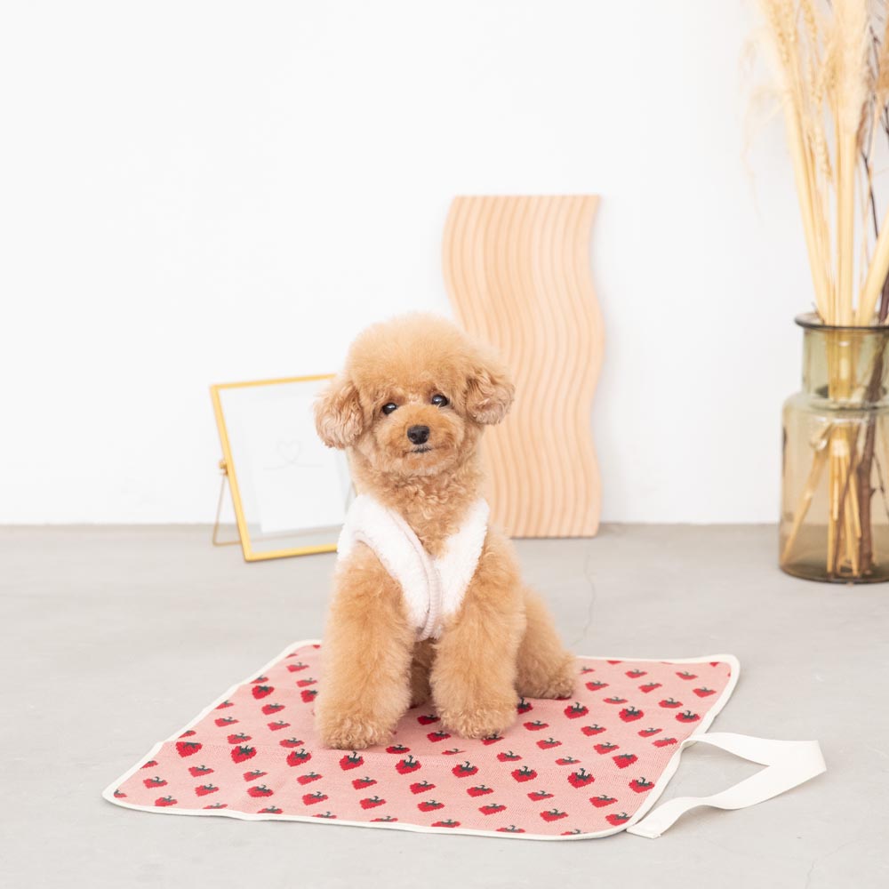 Strawberry Cafe Mat