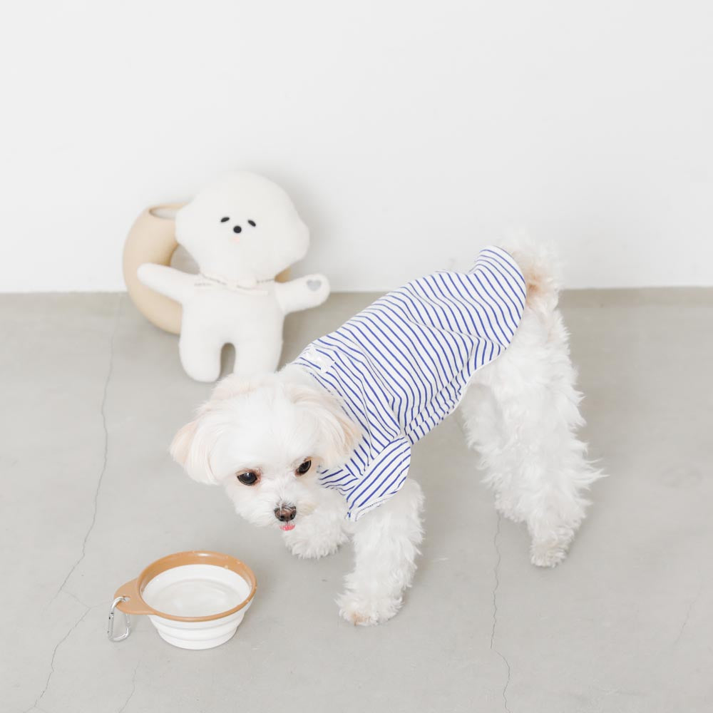 Foldable Flat Food Bowl with Hook