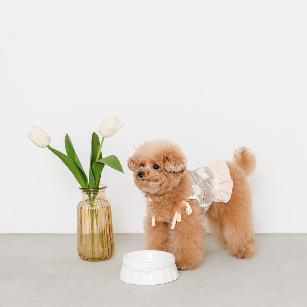 Ribbon Fancy Food Bowl