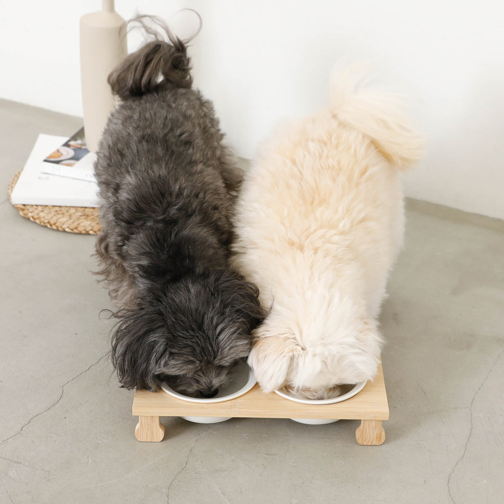 Wood Stand Double Food Bowl