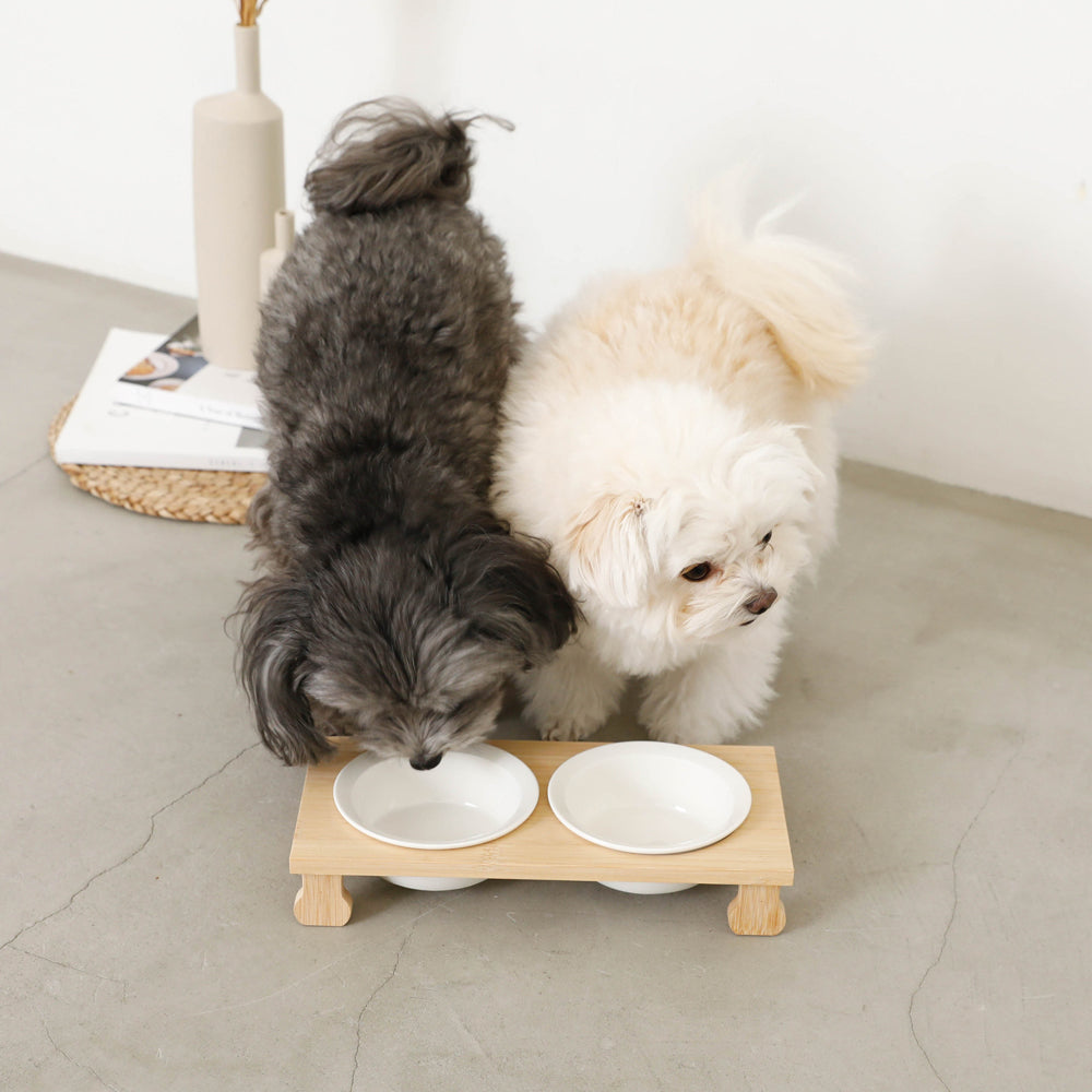 Wood Stand Double Food Bowl