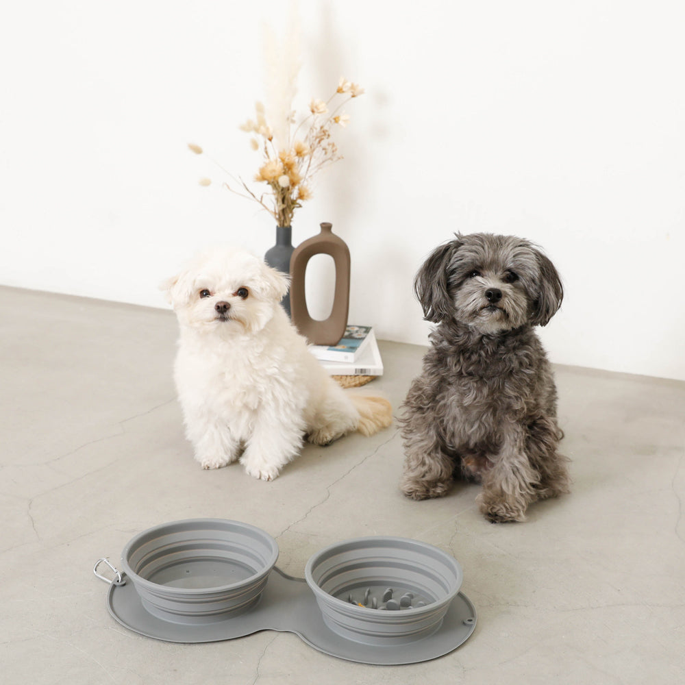Silicone Compact Double Food Bowl