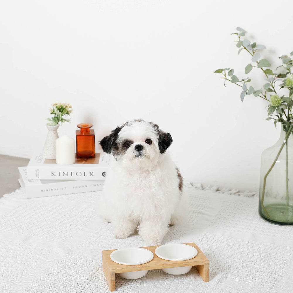 Wood Stand Mini Food Bowl