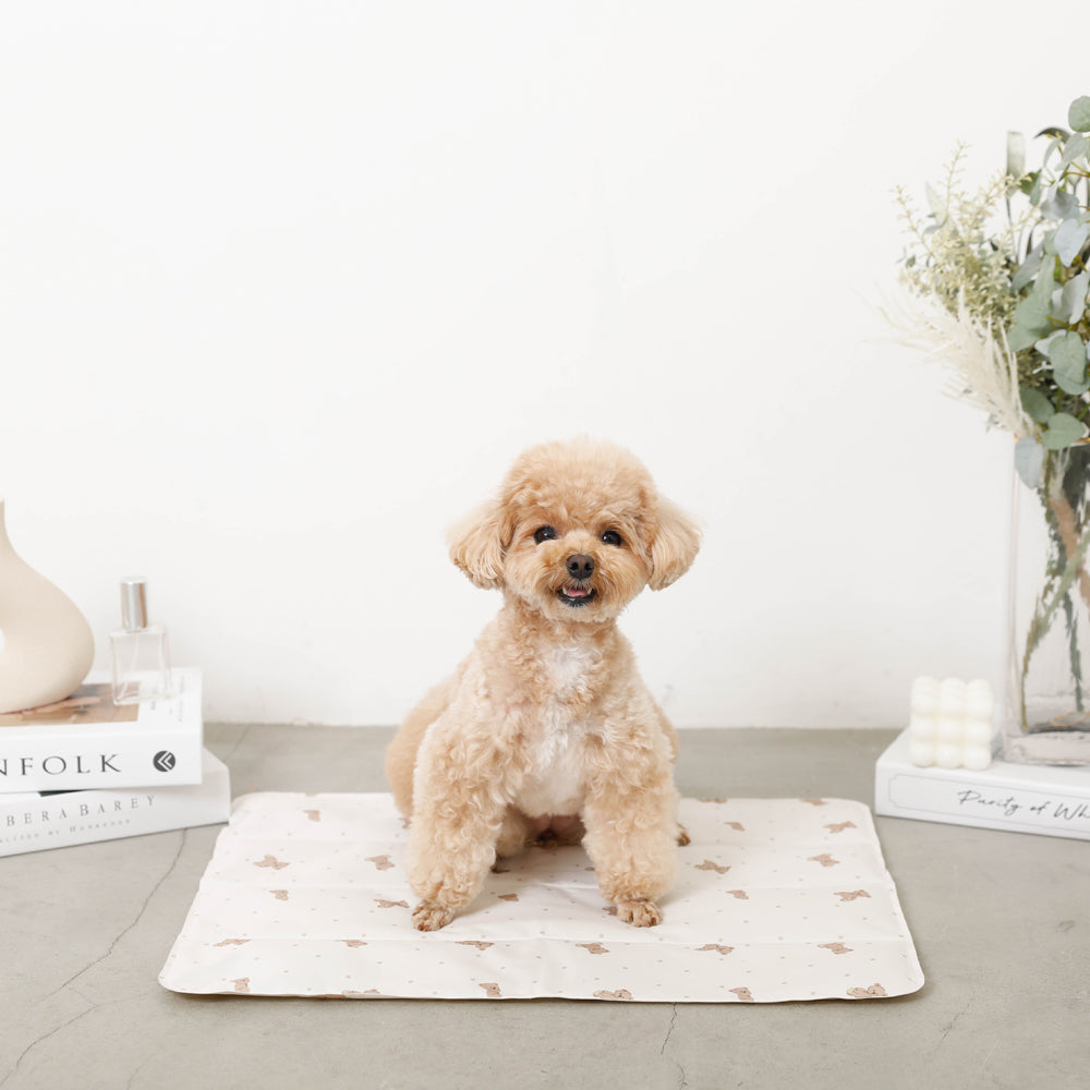 Bear Cool Cool Gel Mat M Size
