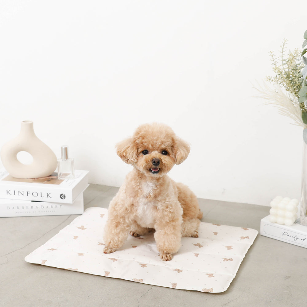 Bear Cool Cool Gel Mat M Size