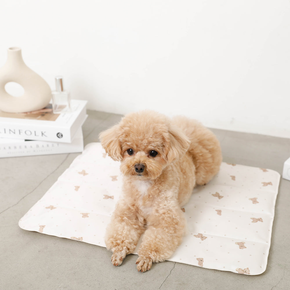 Bear Cool Cool Gel Mat M Size