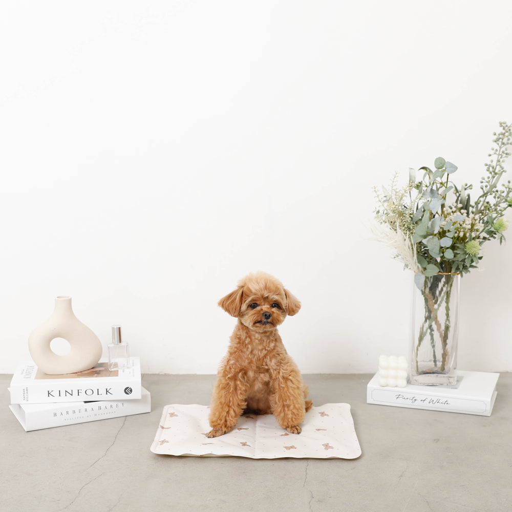 Bear Cool Cool Gel Mat S Size