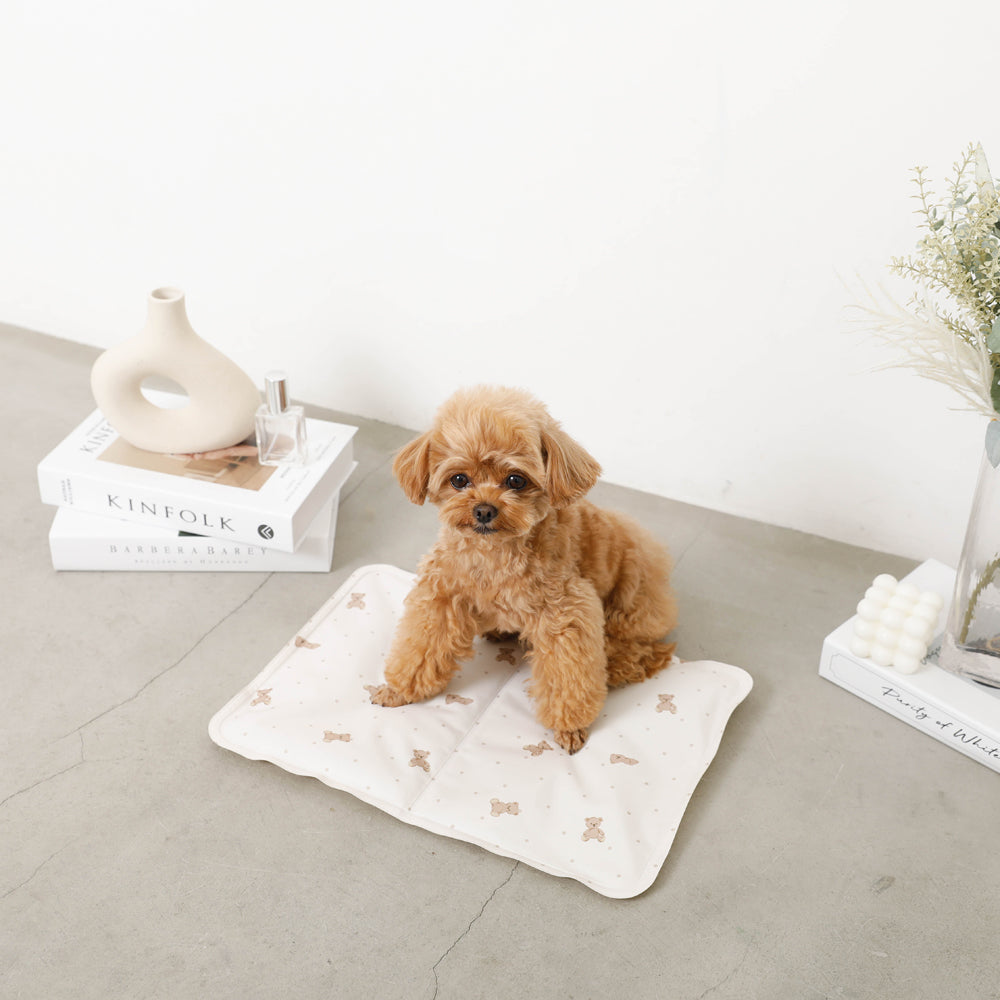 Bear Cool Cool Gel Mat S Size