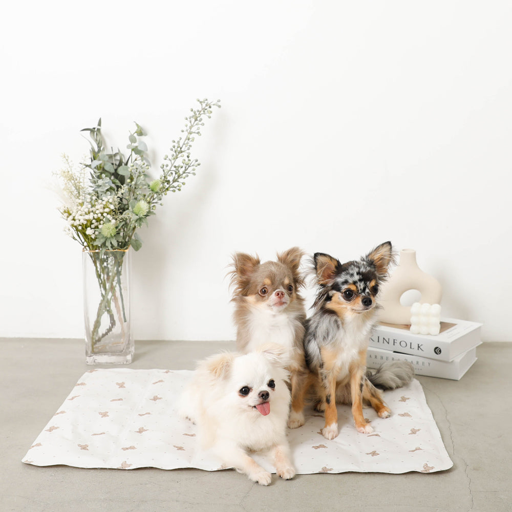 Bear Cool Cool Gel Mat L Size