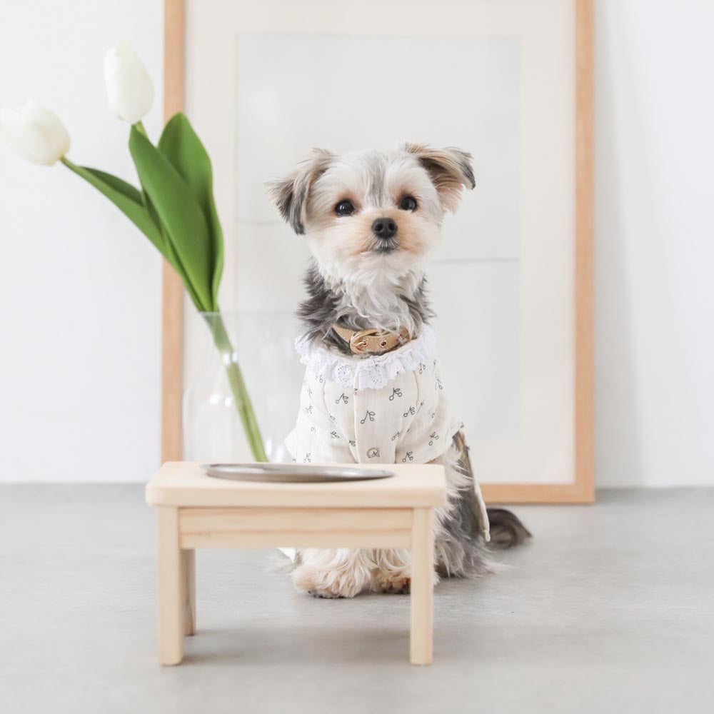 Food Bowl Stand (Wood x Stainless Steel)