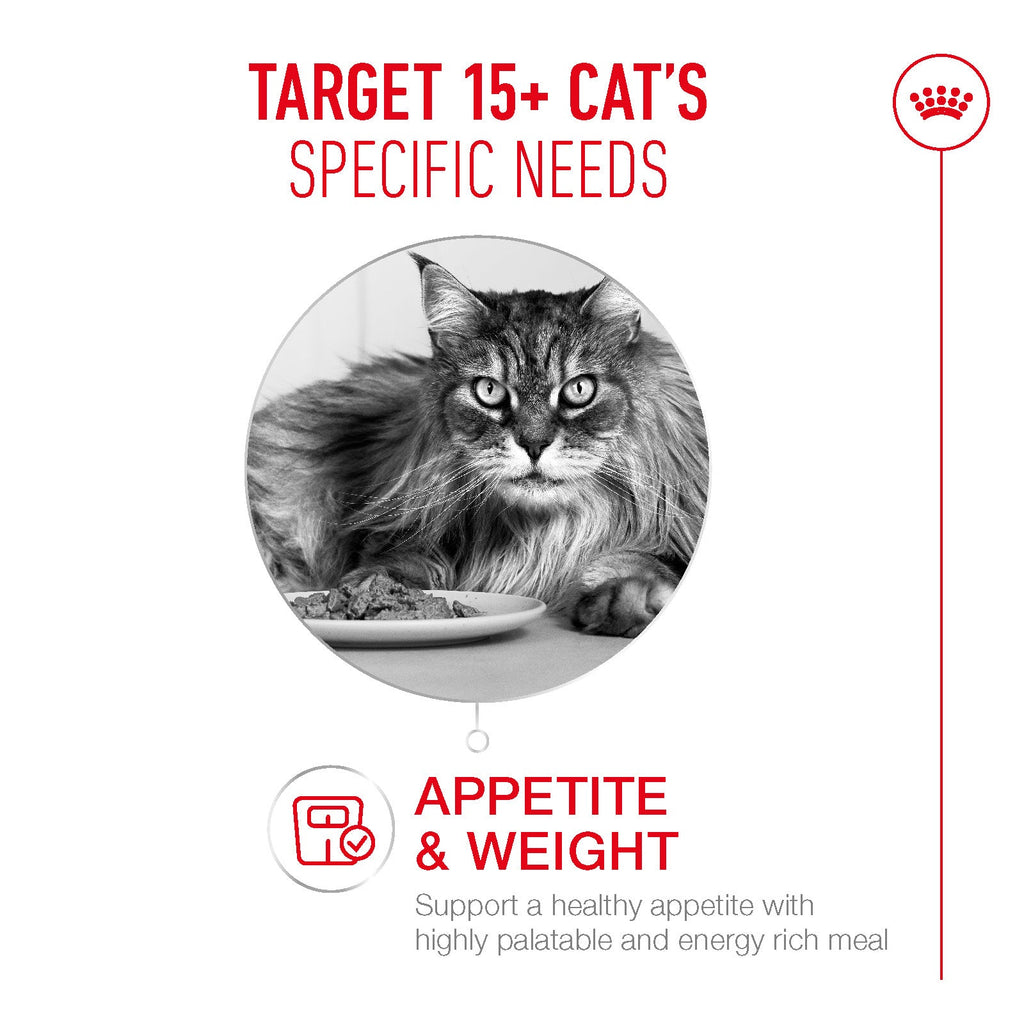 Royal Canin Ageing 15+ Senior Dry Cat Food