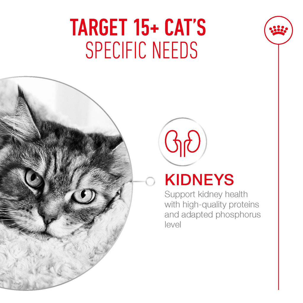 Royal Canin Ageing 15+ Senior Dry Cat Food