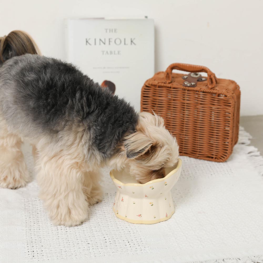 Small Floral Food Bowl