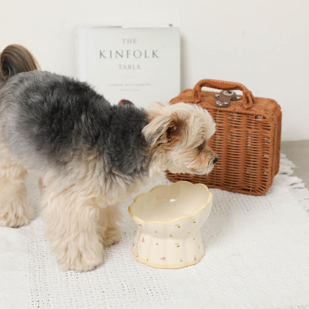 Small Floral Food Bowl