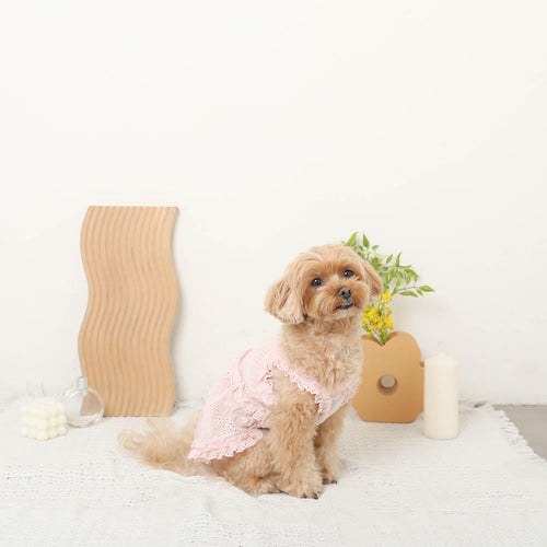 Cool Cotton Lace Frill Camisole Dress