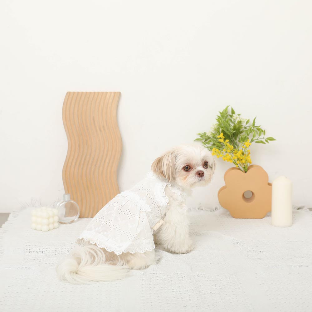 Cool Cotton Lace Frill Camisole Dress