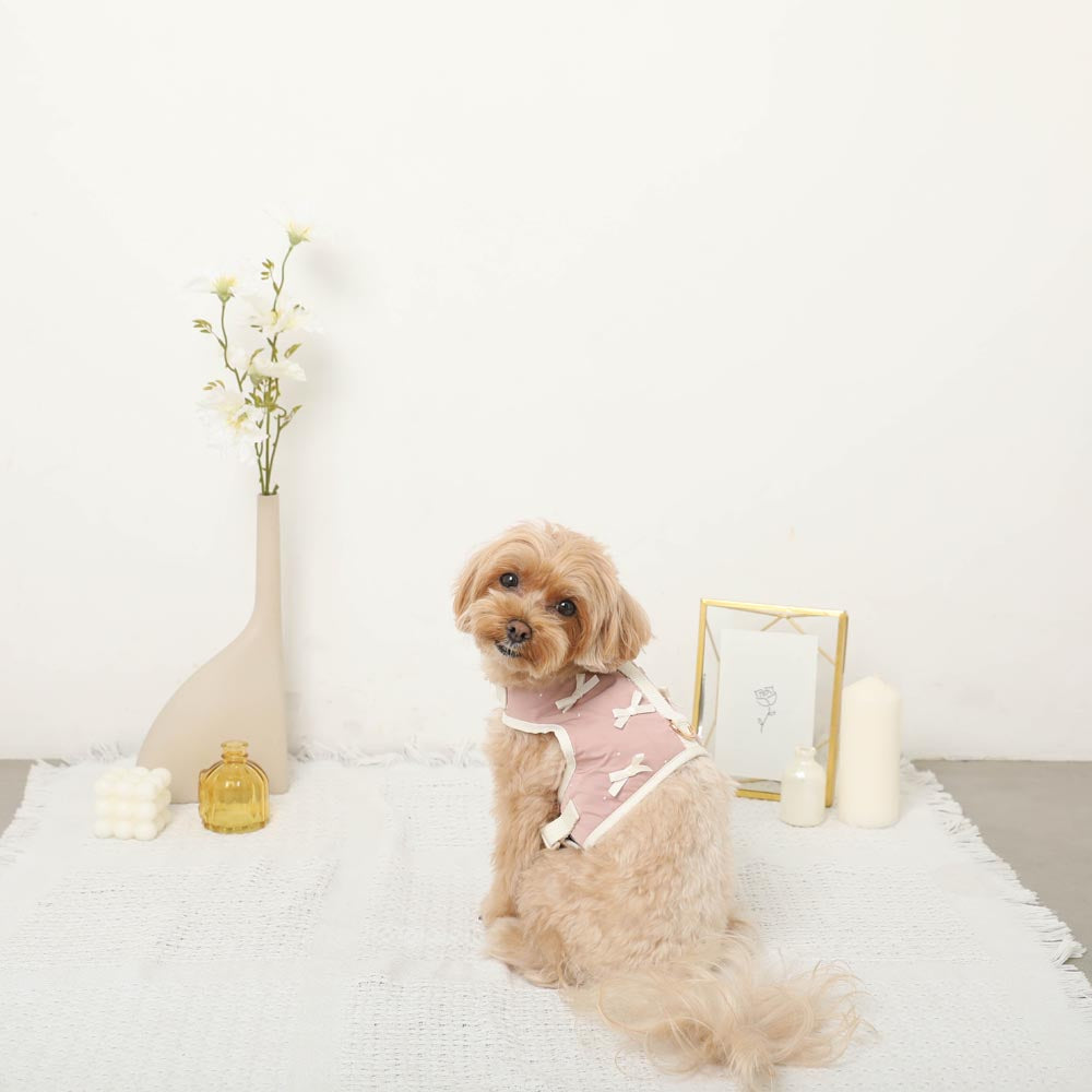 Dot Ribbon Motif Harness + Lead SET