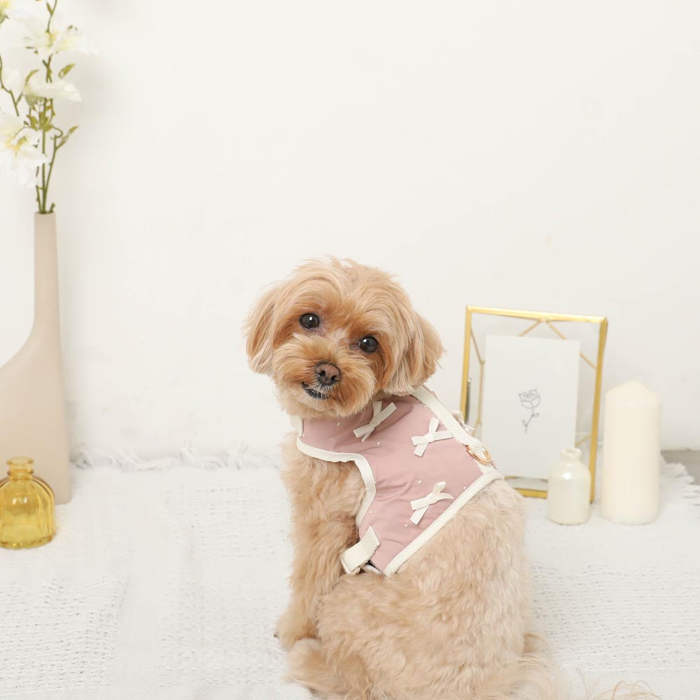 Dot Ribbon Motif Harness + Lead SET