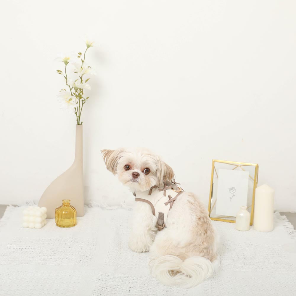 Dot Ribbon Motif Harness + Lead SET