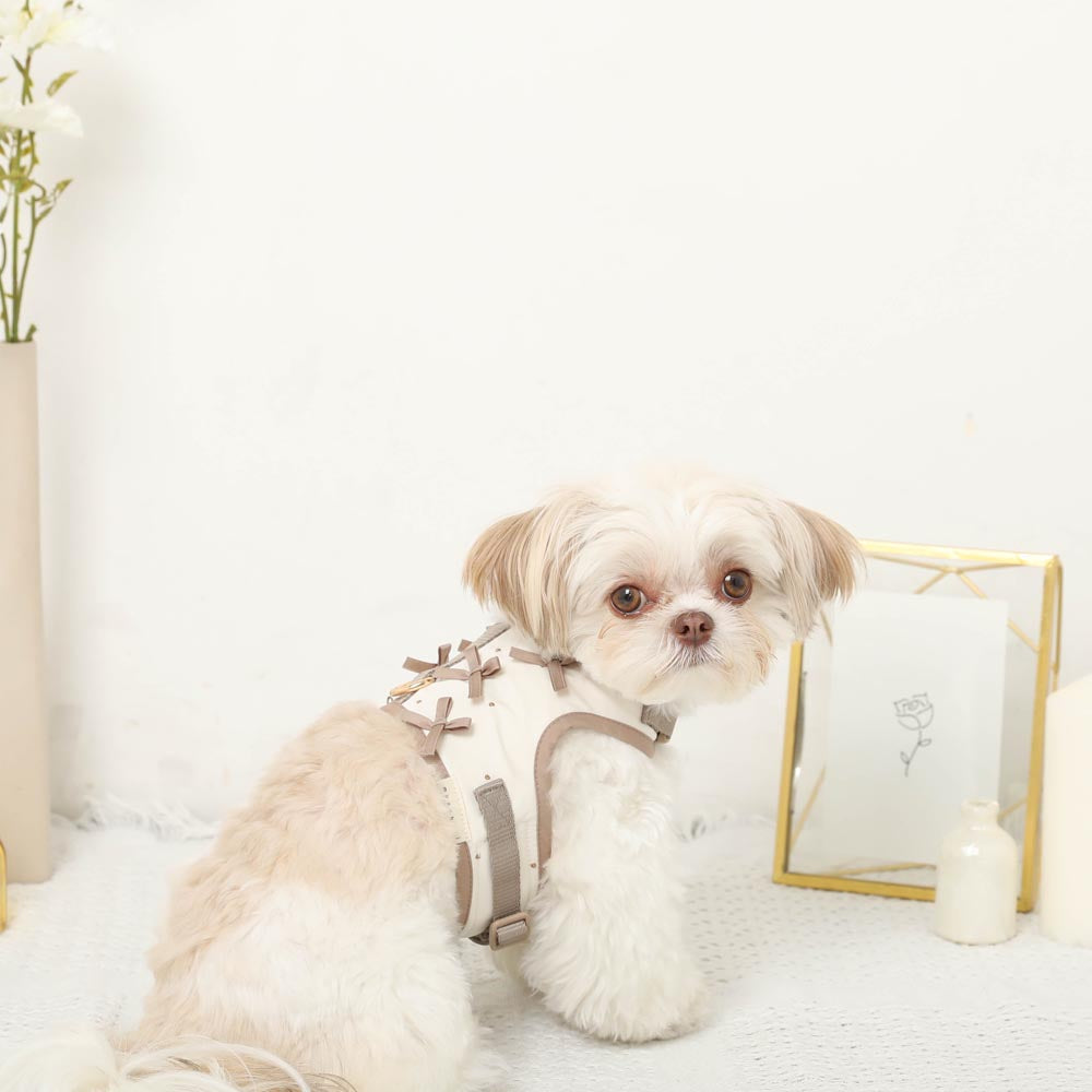 Dot Ribbon Motif Harness + Lead SET