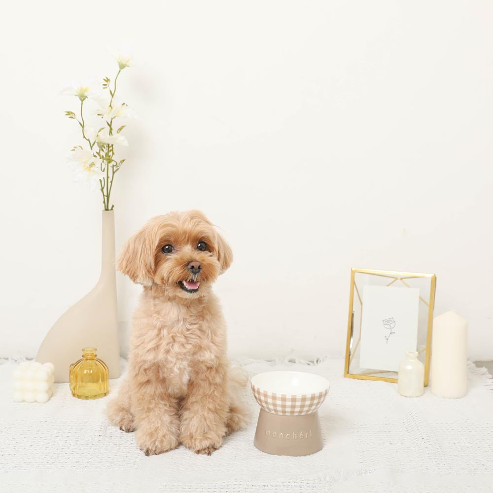 Gingham Food Bowl