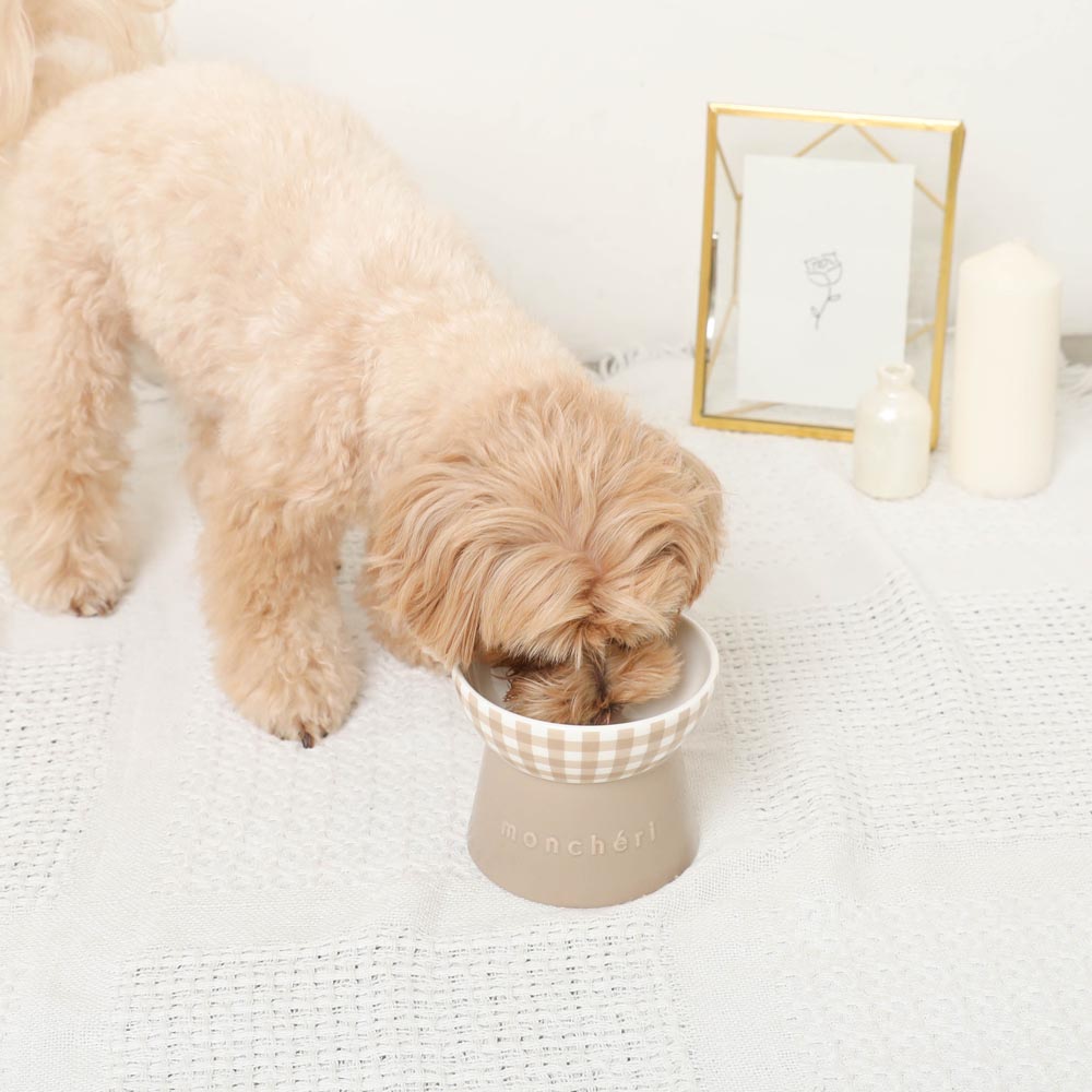 Gingham Food Bowl