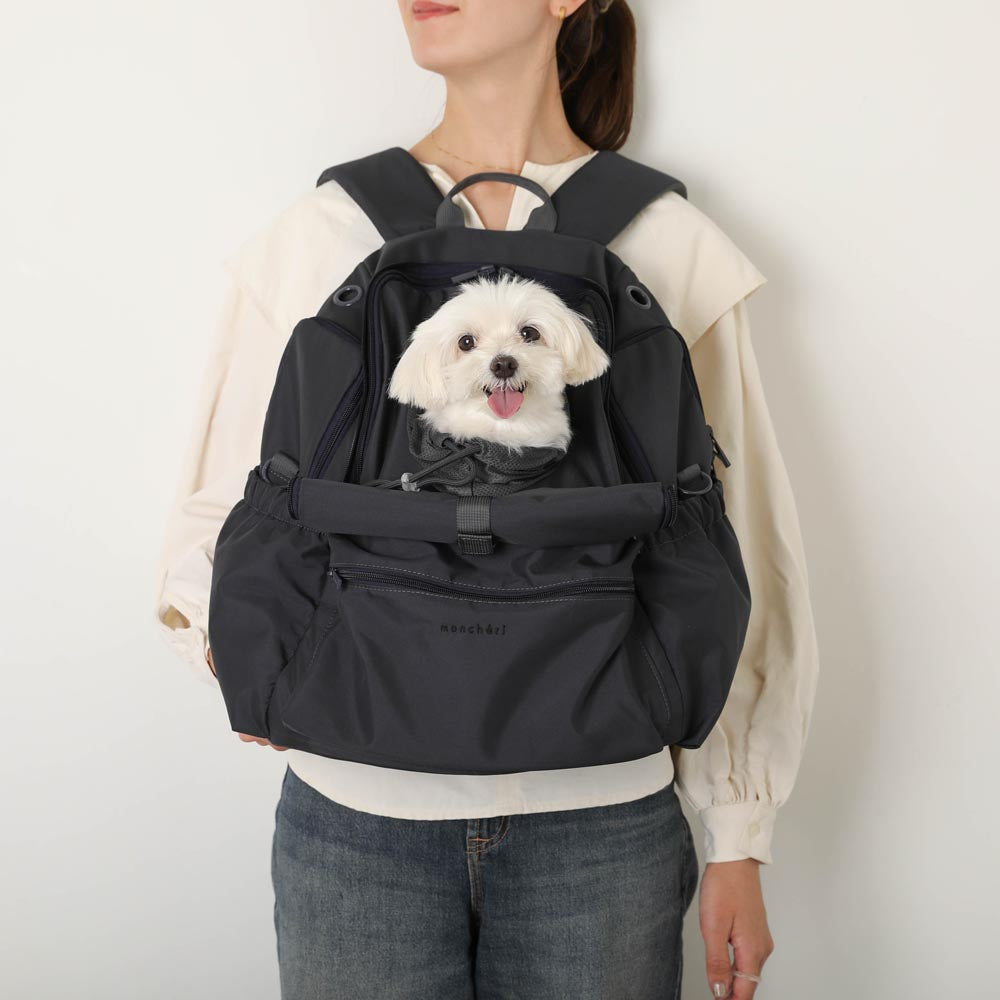 Water Repellent Lightweight Casual Backpack