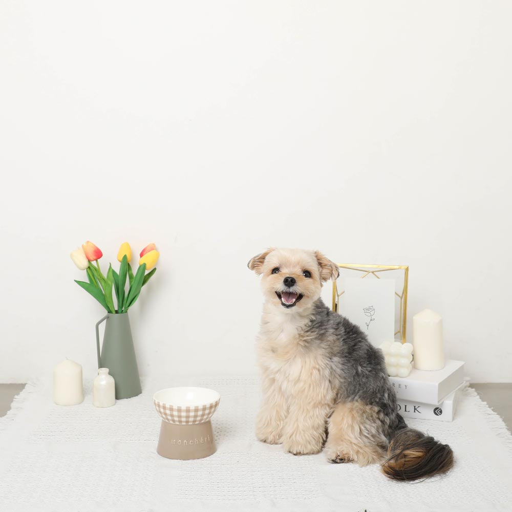 Gingham Food Bowl
