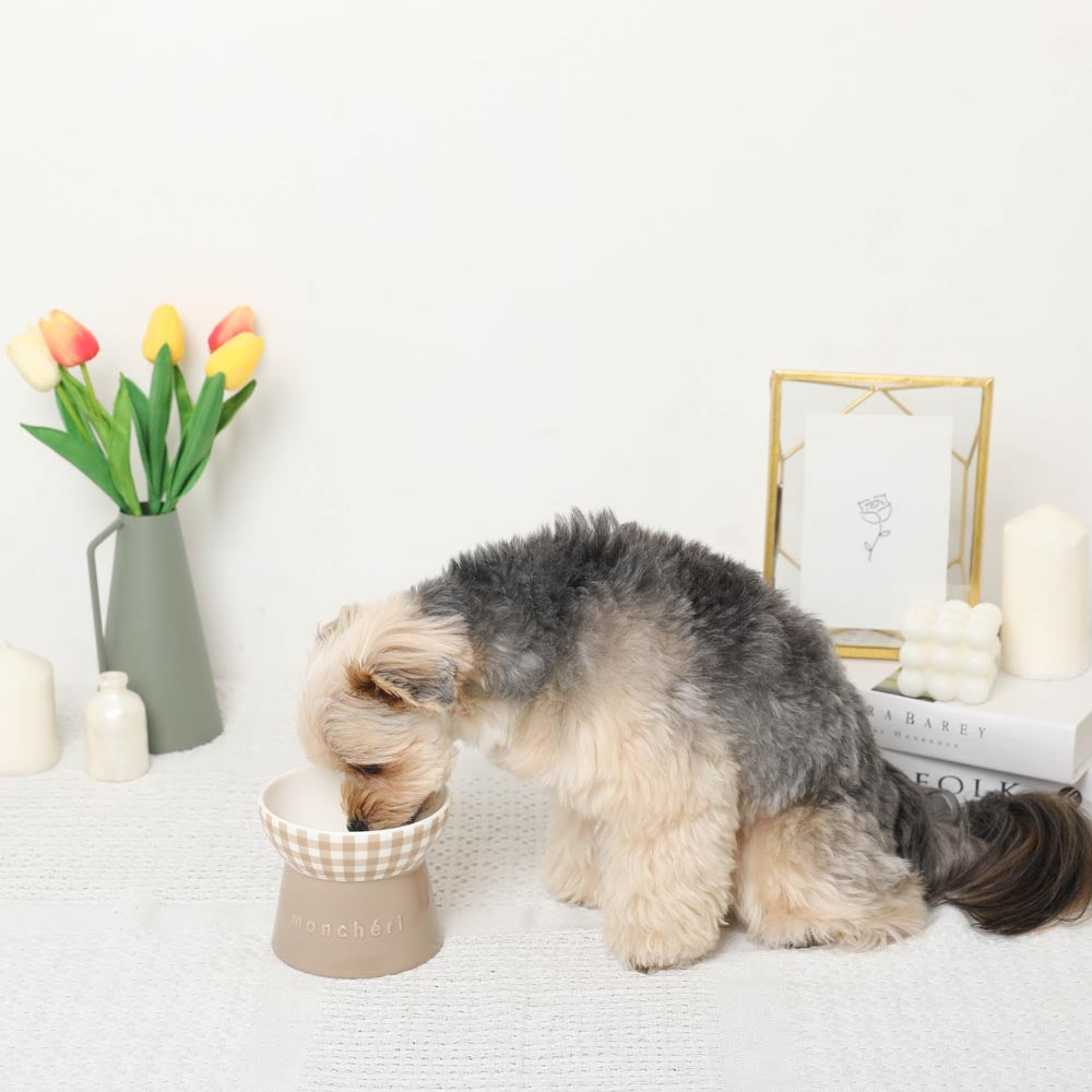Gingham Food Bowl