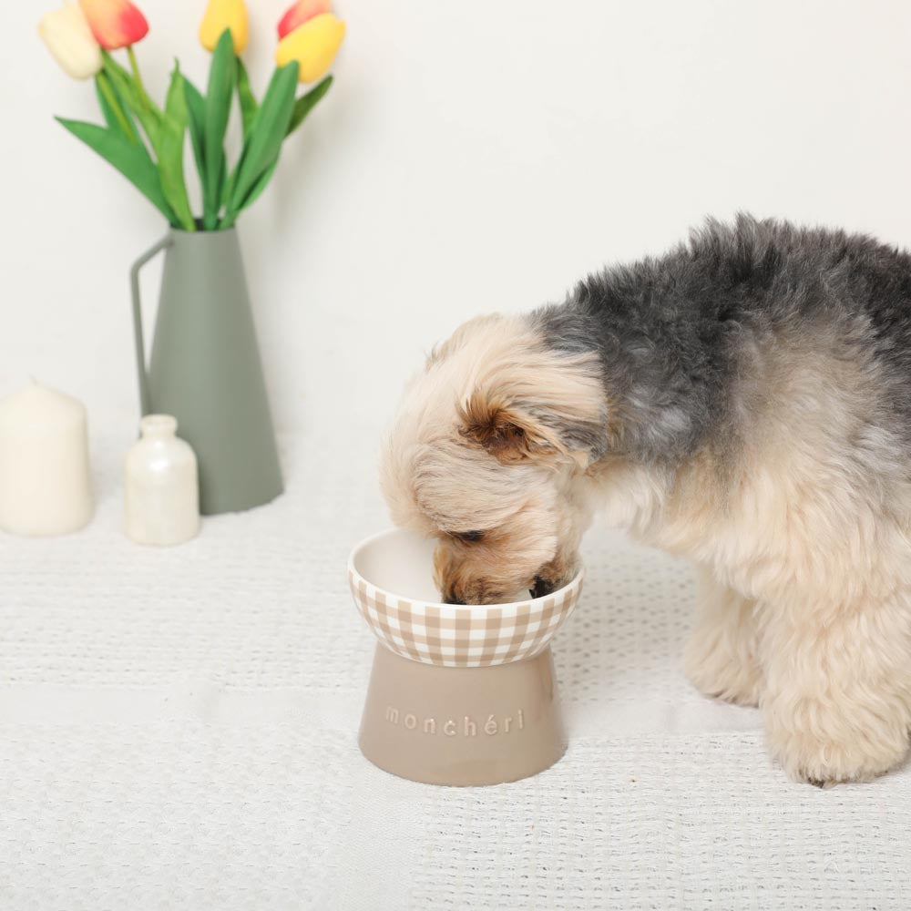 Gingham Food Bowl