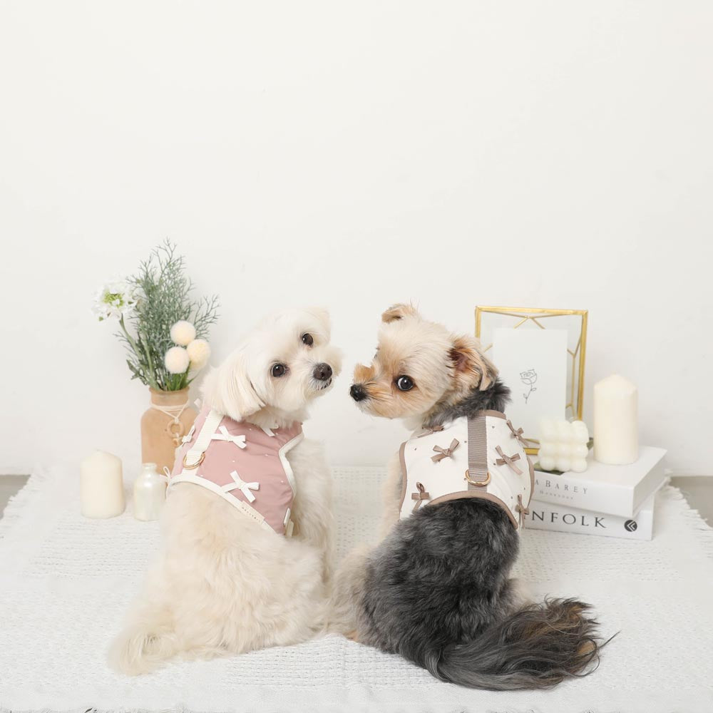 Dot Ribbon Motif Harness + Lead SET