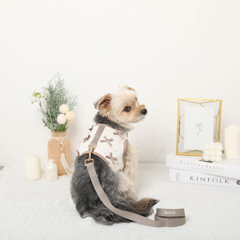 Dot Ribbon Motif Harness + Lead SET