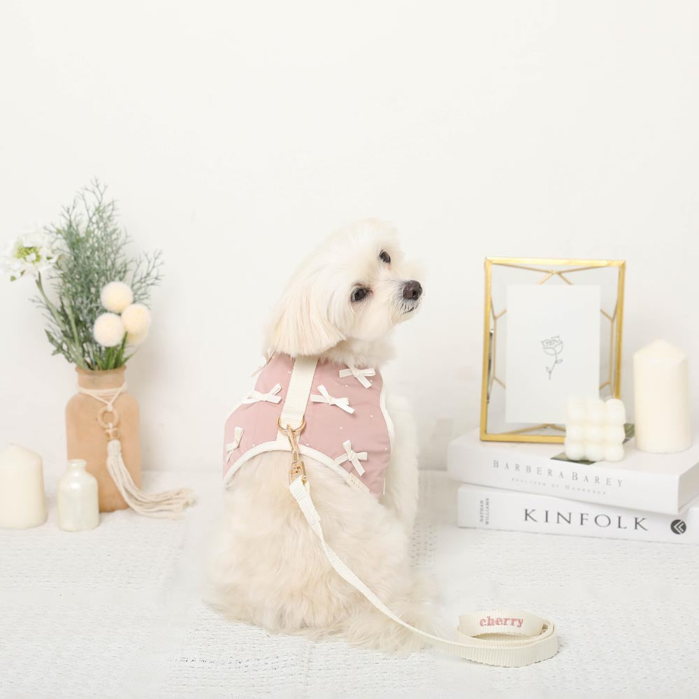 Dot Ribbon Motif Harness + Lead SET