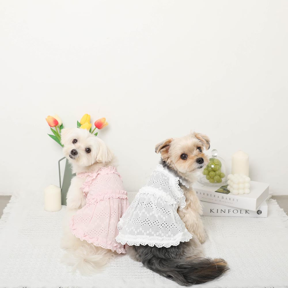 Cool Cotton Lace Frill Camisole Dress