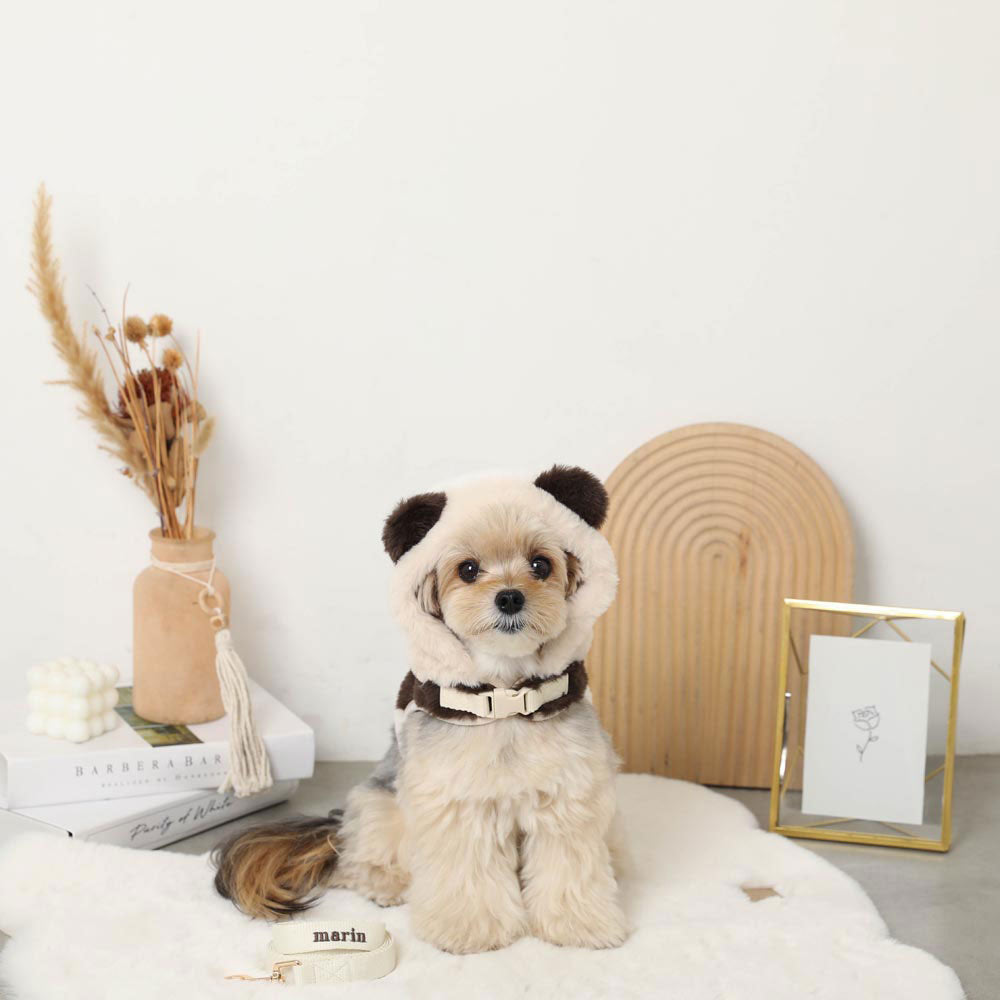 Panda Harness + Lead SET