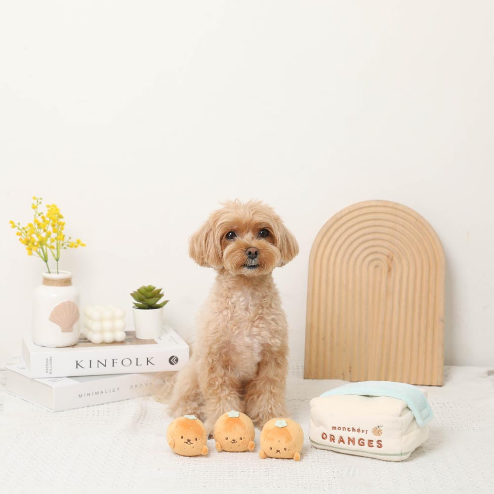 Cardboard Tangerine Nose Work Toy Set