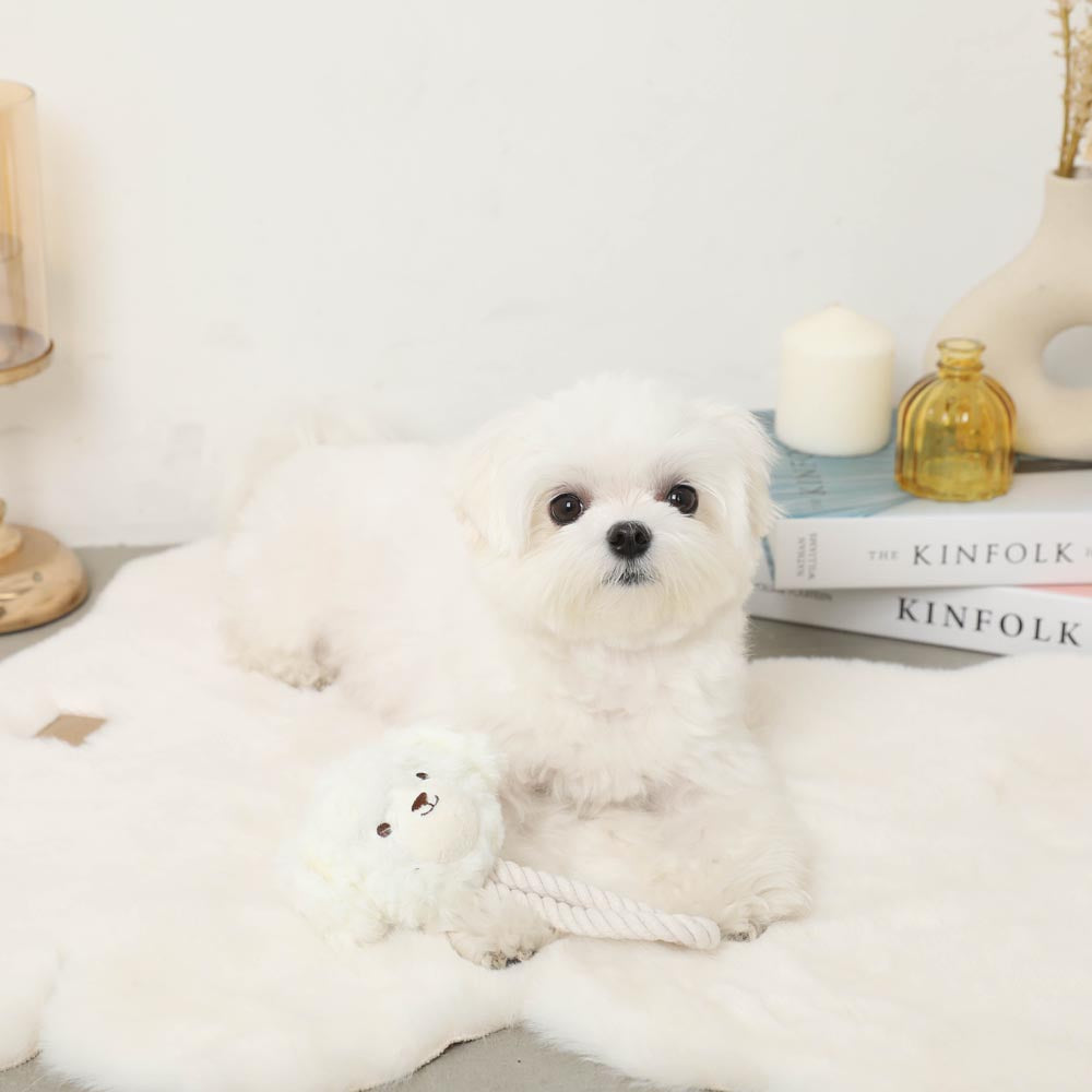 Dog Rope Stuffed Toy