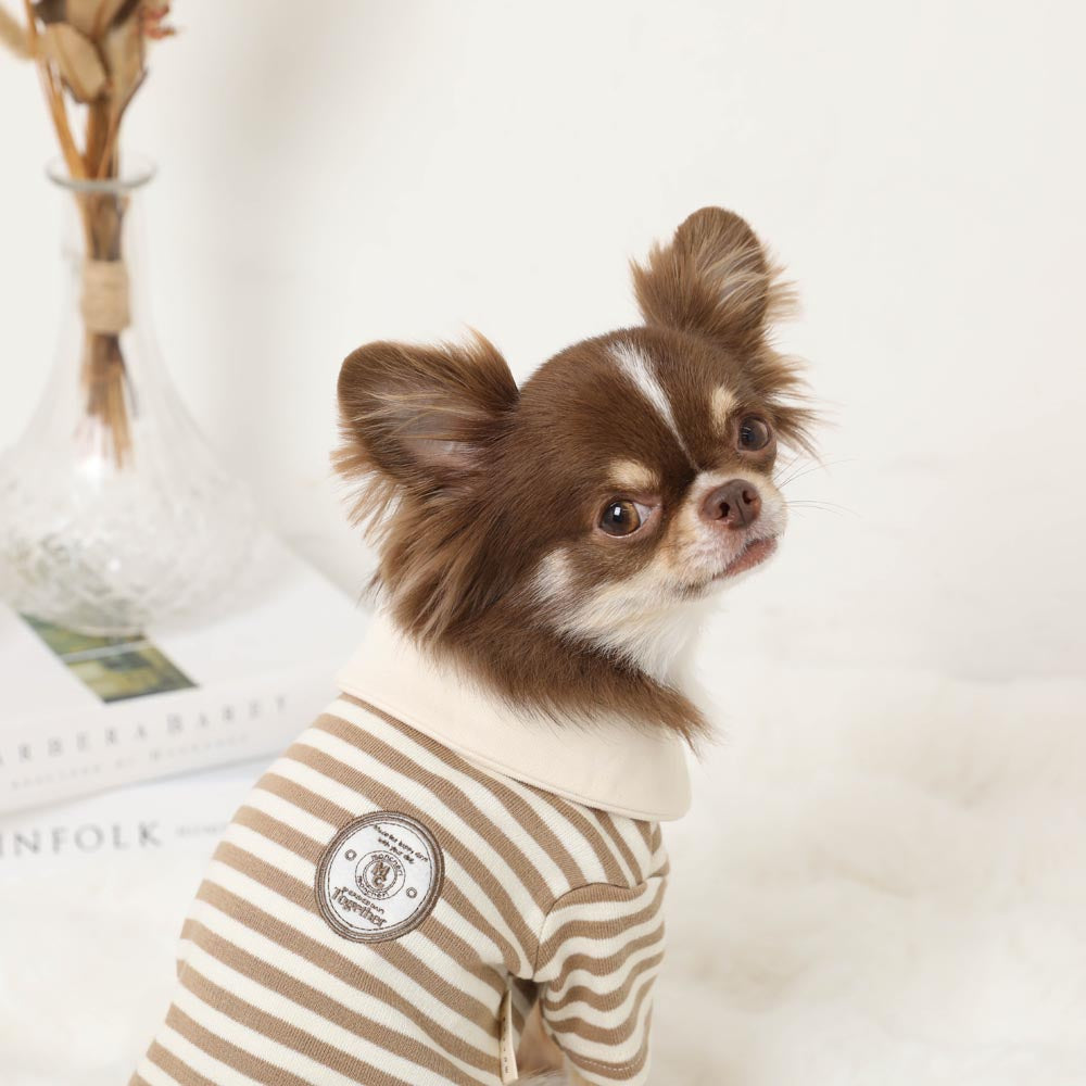 Border Shirt Tops