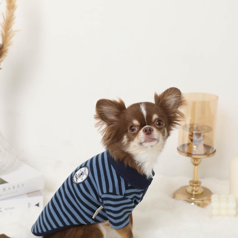 Border Shirt Tops