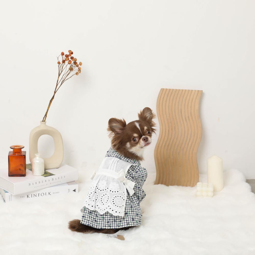 Flower Check Apron Dress