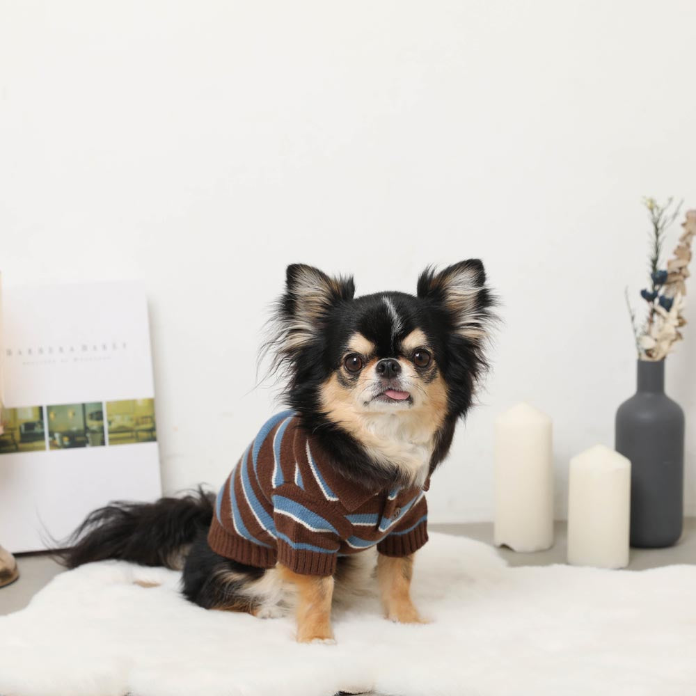 Multi-border Knit Top with Collar