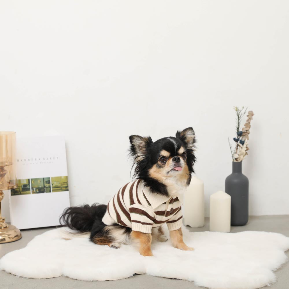 Multi-border Knit Top with Collar