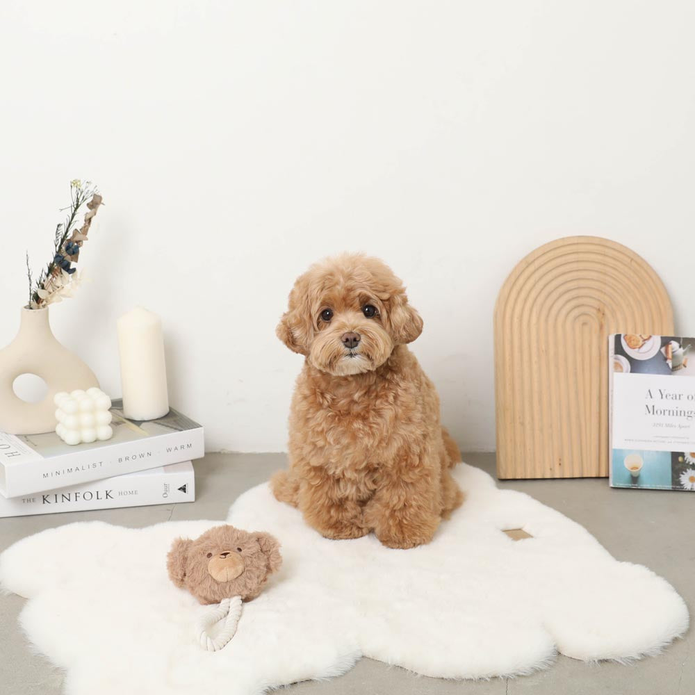Dog Rope Stuffed Toy